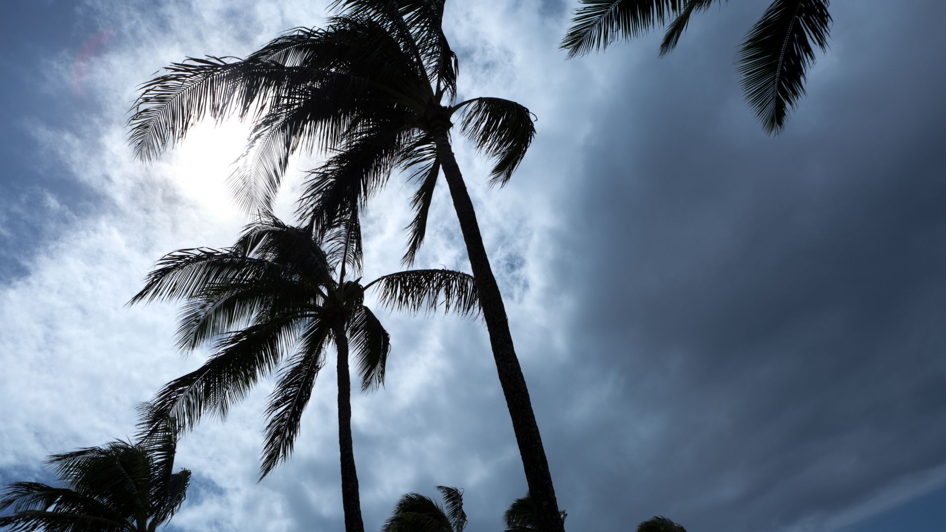 disaster relief in hendry county florida